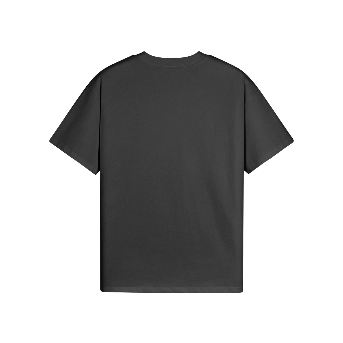 Spartan Shirt (Front)
